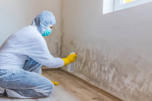 Licensed Mold Remediation service in Bronxville, NY - 24 Hour Mold Removal