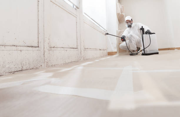 24/7 Emergency Mold Remediation experts in Bronxville, NY